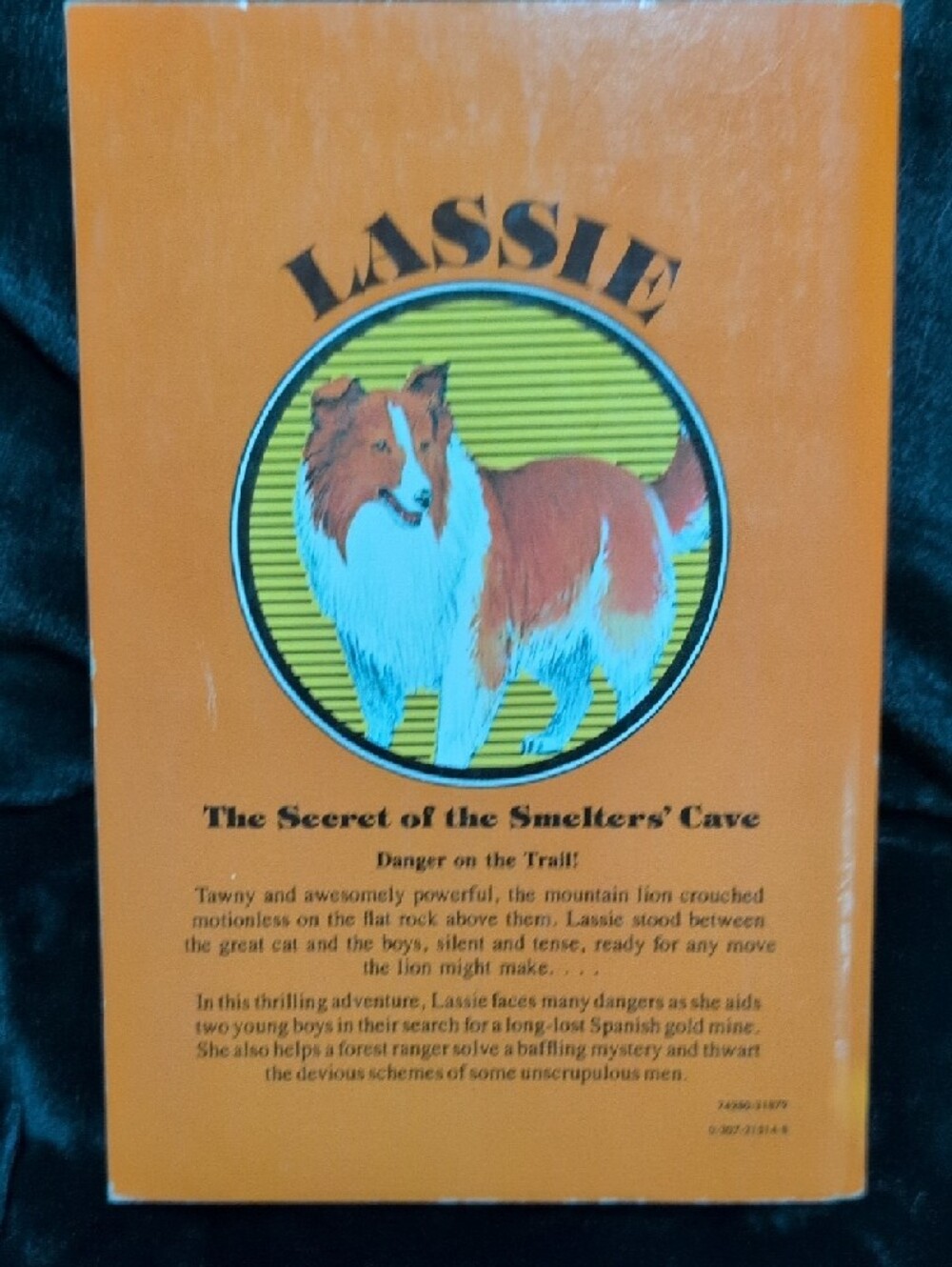 Lassie Book - The Secret of the Smelters' Cave - Picture 2 of 4